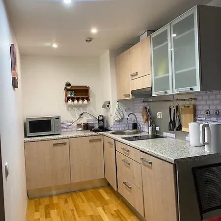 Cozy 2-bedroom Penthouse In The Heart Of Lejlighed